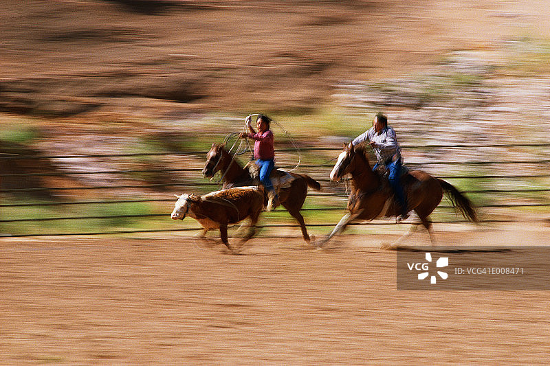 骑马套小牛的牛仔图片素材