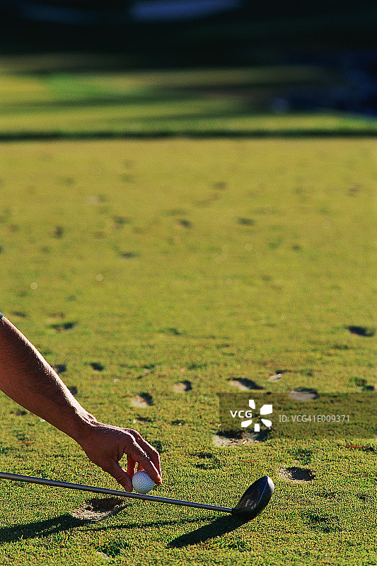 高尔夫球放置在球场上图片素材