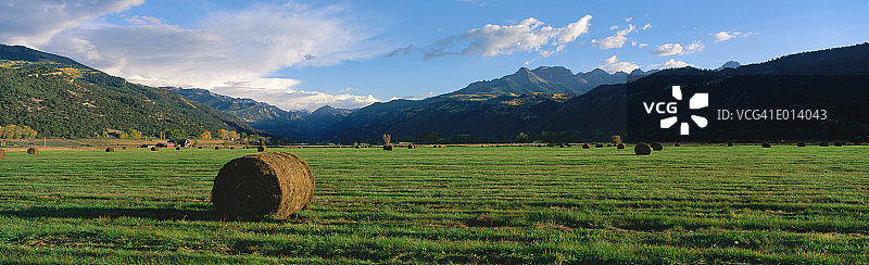 科罗拉多州的田野里的干草捆图片素材