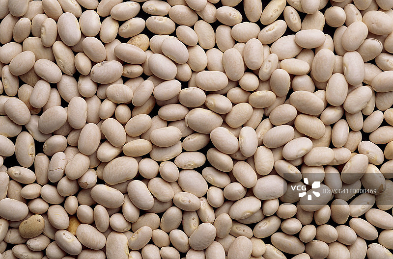 白芸豆图片素材