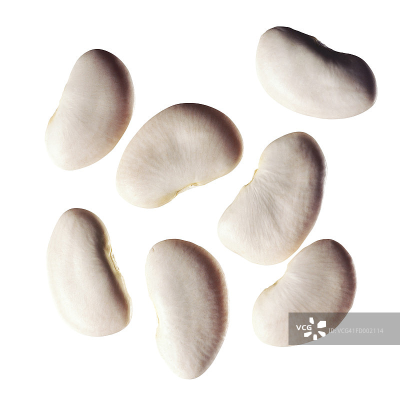 利马豆图片素材