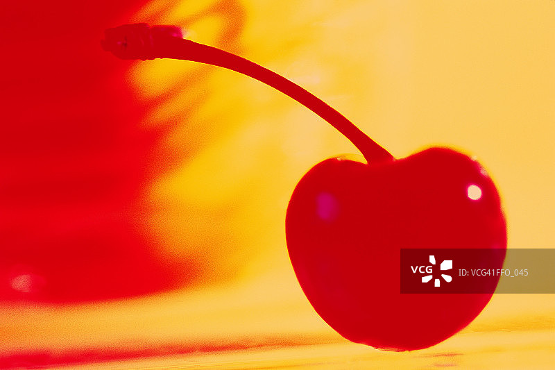 带梗的马拉斯奇诺樱桃图片素材