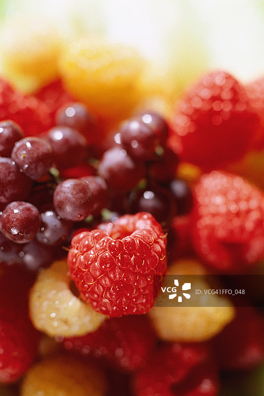 各种浆果和葡萄图片素材