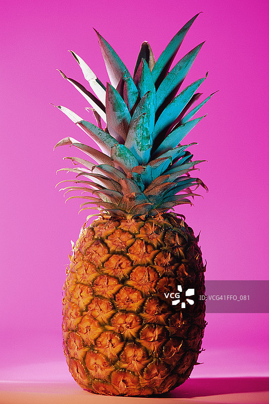 成熟的菠萝图片素材