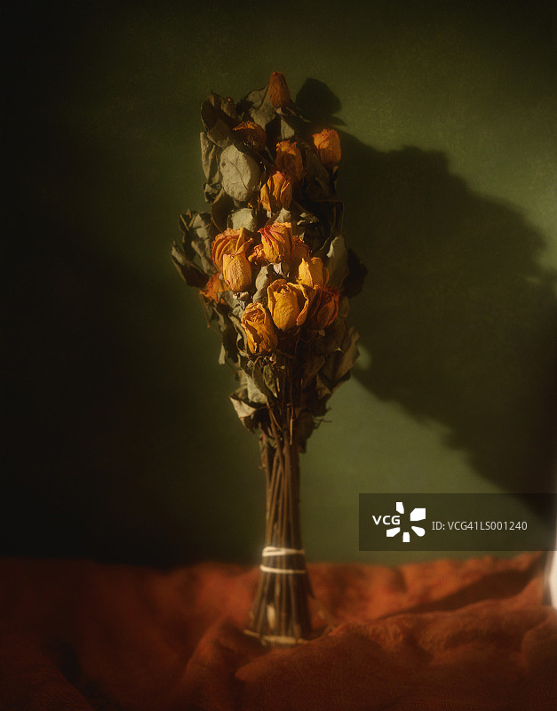 干玫瑰静物图片素材