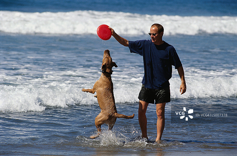 男人和狗玩塑料飞盘图片素材