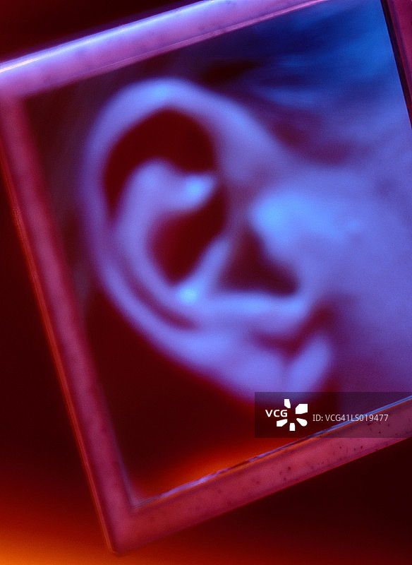 女人耳朵特写图片素材