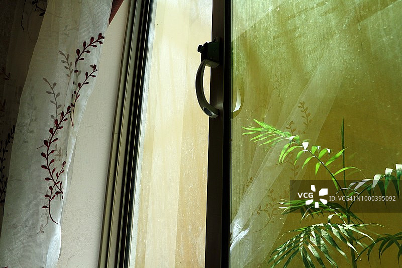 在植物露台前飘动的窗帘图片素材