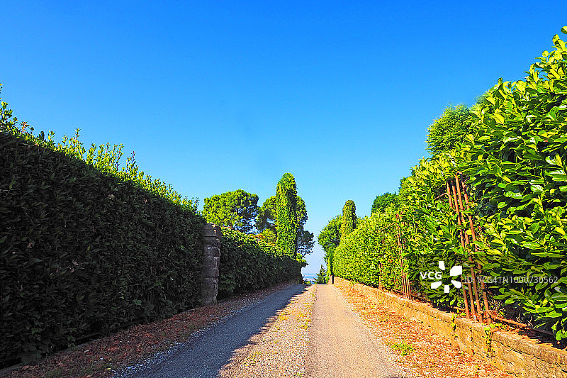 意大利贝加莫，绿篱之间的土路图片素材