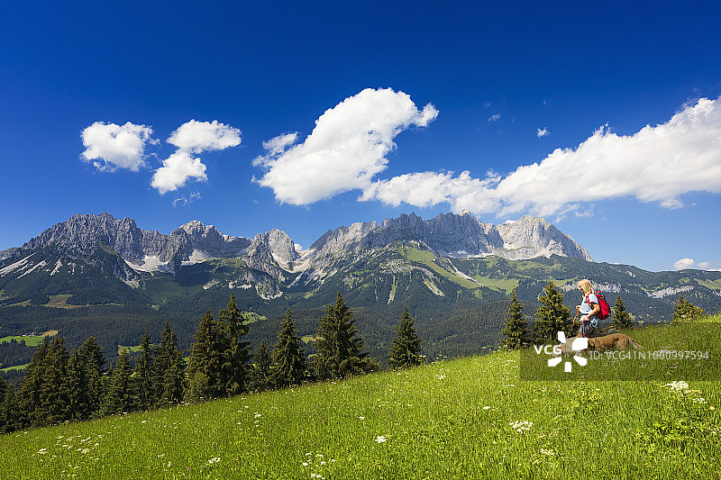 女子带着她的狗在凯撒山脉中散步图片素材