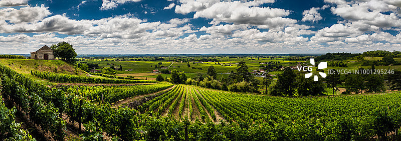 法国波尔多葡萄园的云朵天空全景图片素材