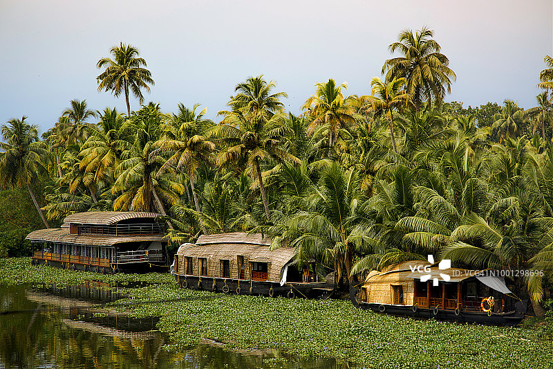 印度喀拉拉邦文巴纳德湖上的船屋图片素材