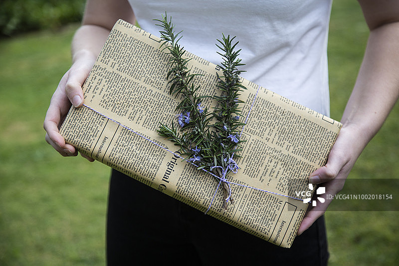 铭记于心的迷迭香图片素材