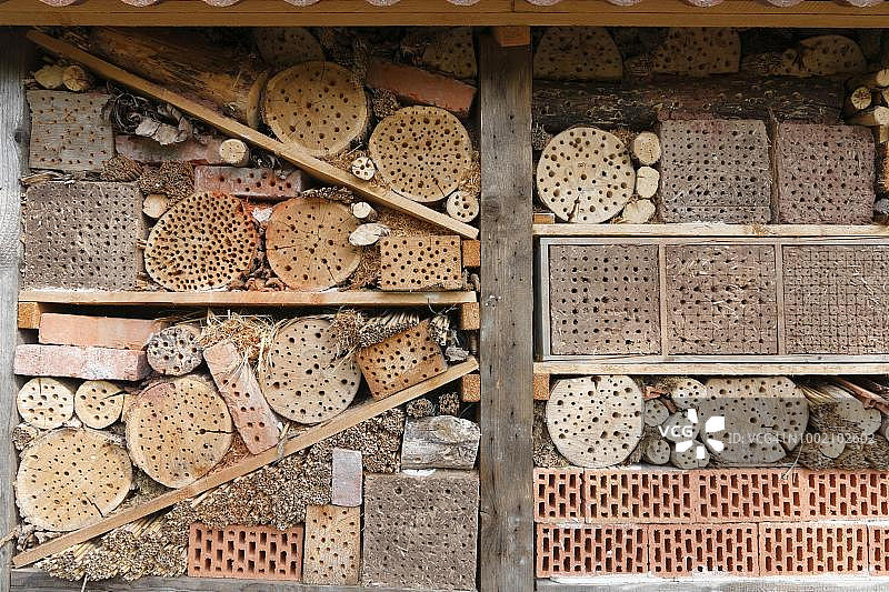 带蜂窝的昆虫墙，巴伐利亚，德国图片素材