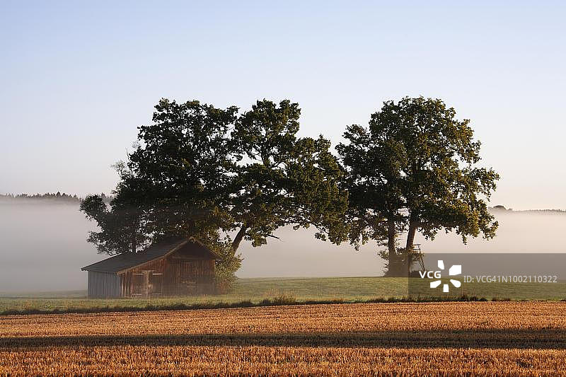 德国巴伐利亚州哈班附近的清晨薄雾图片素材