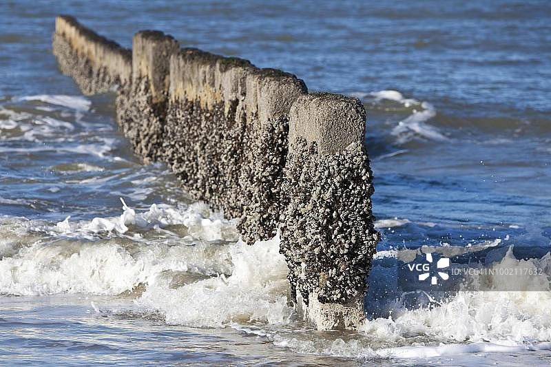 德国石勒苏益格-荷尔斯泰因州叙尔特岛坎彭海滩的防波堤图片素材