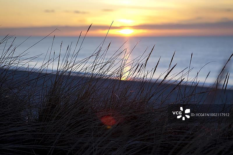 叙尔特岛坎彭附近的傍晚阳光下的沙丘草地，德国石勒苏益格-荷尔斯泰因州北弗里西亚群岛图片素材