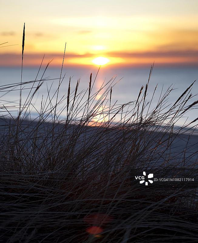 叙尔特岛坎彭附近的傍晚阳光下的沙丘草地，德国石勒苏益格-荷尔斯泰因州北弗里西亚群岛图片素材