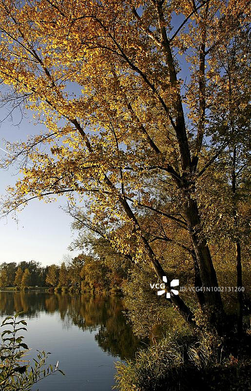 德国巴伐利亚州因戈尔施塔特采石场池塘秋景图片素材