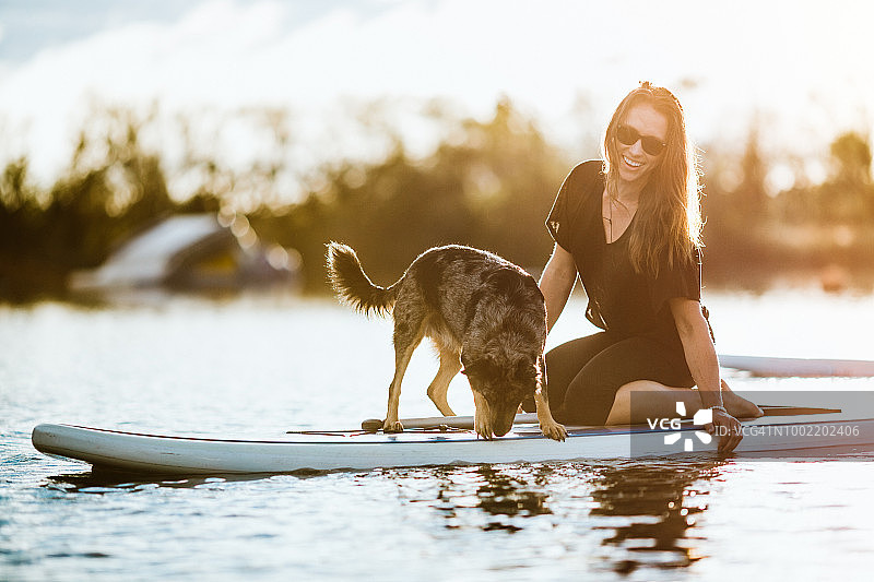 带宠物狗的桨板上的女人图片素材