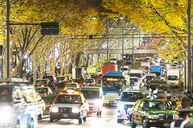 东京表参道 illuminated 秋叶树丛中的汽车图片素材