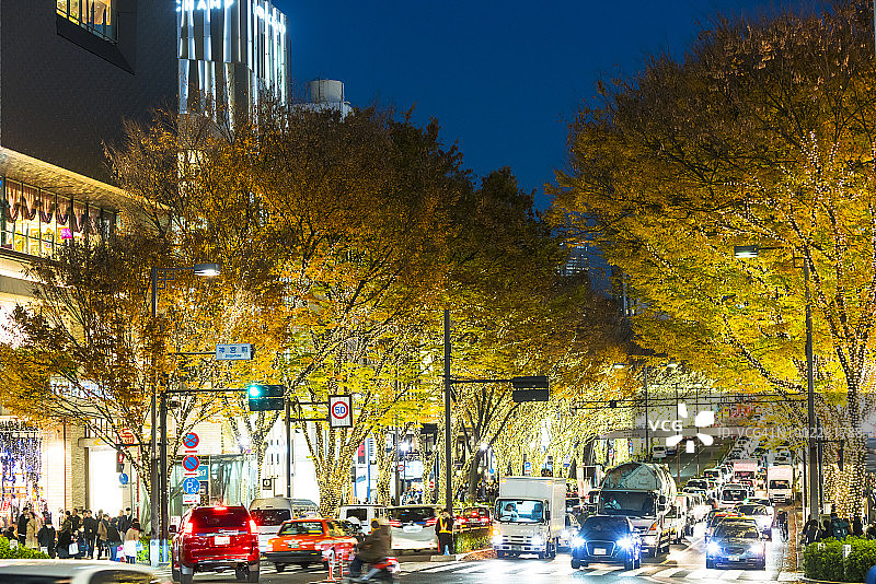 东京表参道 illuminated 秋叶树丛中的汽车图片素材