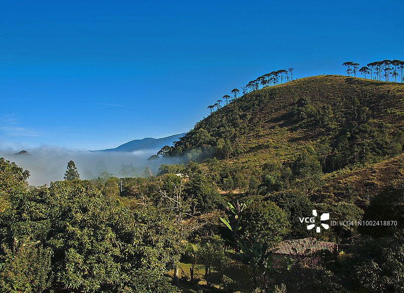 清晨曼蒂凯拉山脉的巴西丘陵图片素材