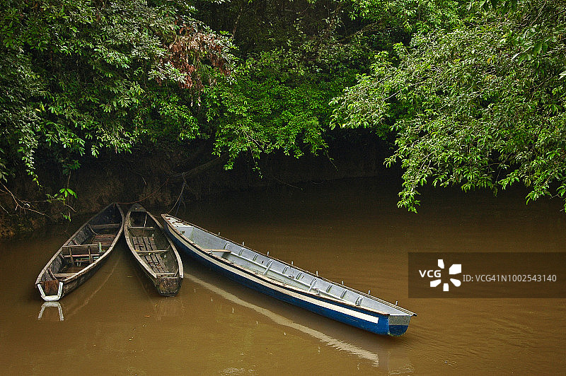 亚马逊雨林茂盛的树叶下的独木舟，厄瓜多尔库亚贝诺野生动物保护区图片素材