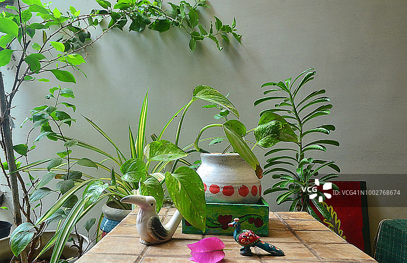 小型阳台花园装饰图片素材