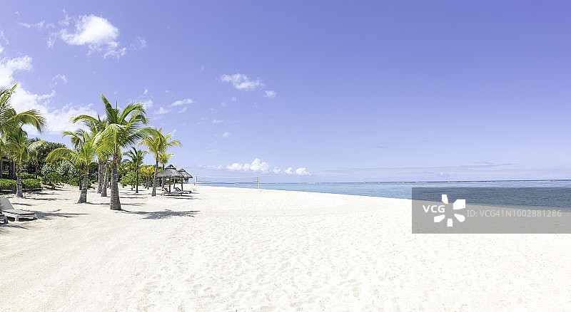 白色沙滩和棕榈树景色，背景是清澈的碧蓝色大海图片素材