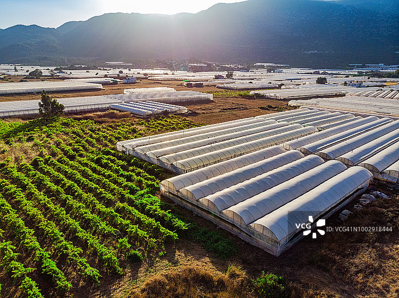 航拍温室图片素材