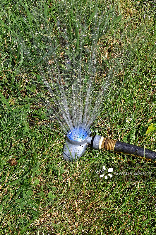 花园洒水器和软管特写图片素材