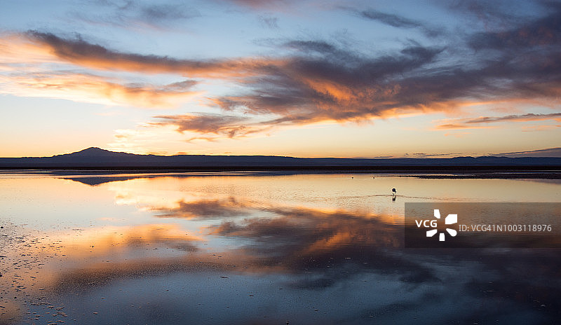 阿塔卡马圣佩德罗高原泻湖图片素材