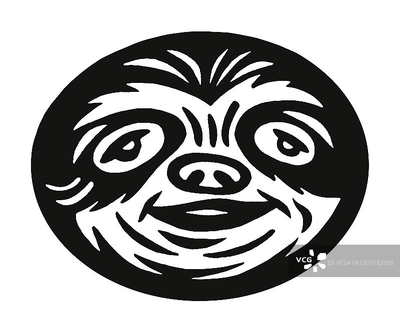 树懒的面部图片素材