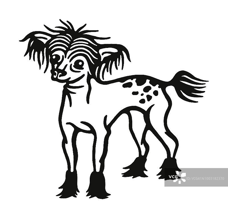 中国冠毛犬图片素材