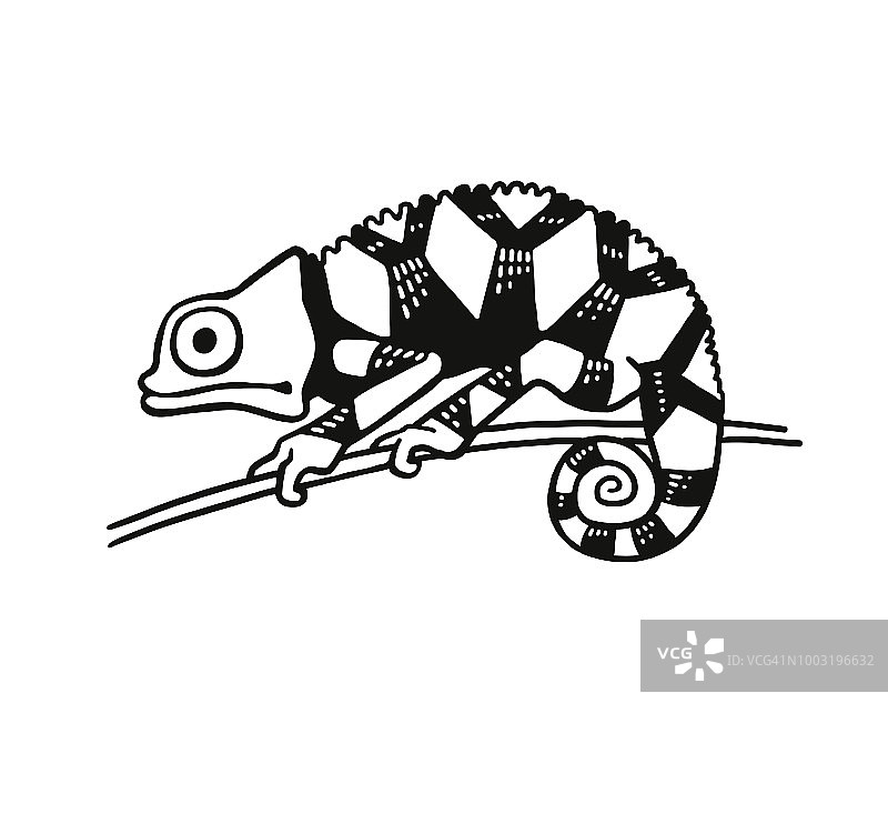 变色龙图片素材