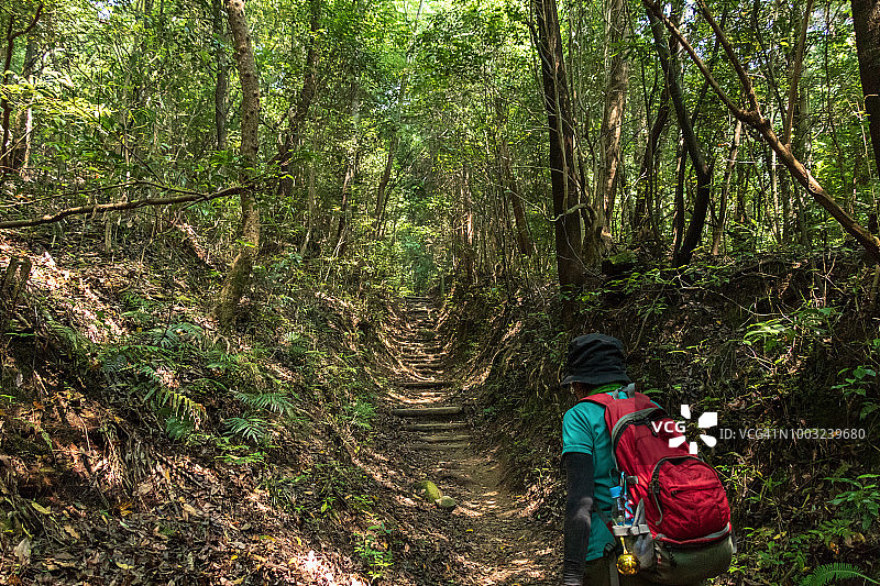 老年人徒步旅行图片素材