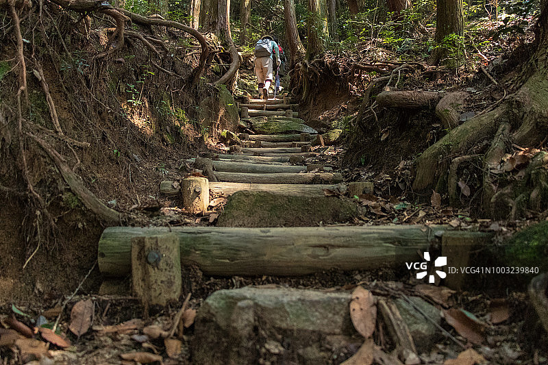 老年人徒步旅行图片素材
