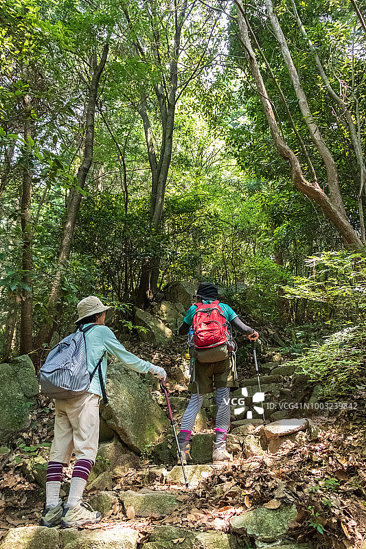 老年人徒步旅行图片素材