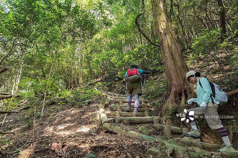 老年人徒步旅行图片素材