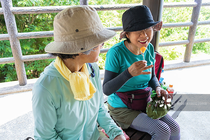 老年人徒步旅行图片素材
