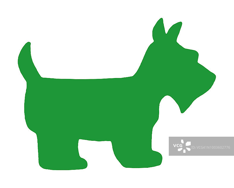 苏格兰梗犬图片素材