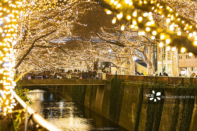 圣诞季目黑川两岸的LED灯光照亮樱花树（东京，日本）图片素材