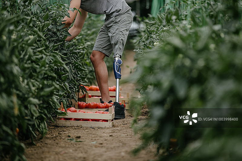残疾男子农民工作图片素材