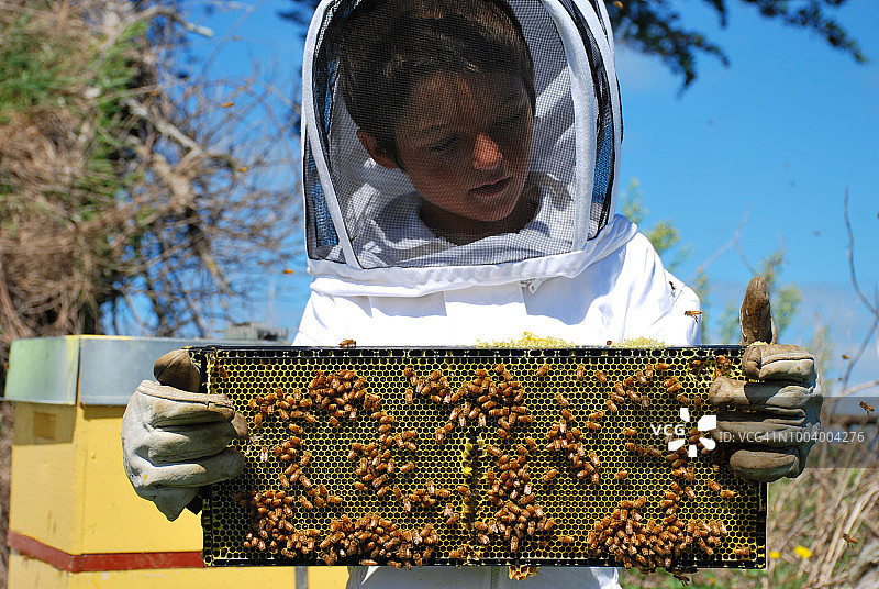 穿着蜜蜂服装，在蜂箱旁的孩子图片素材