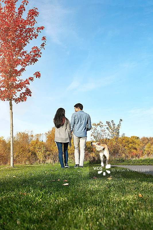 养狗能让你们的关系更融洽图片素材