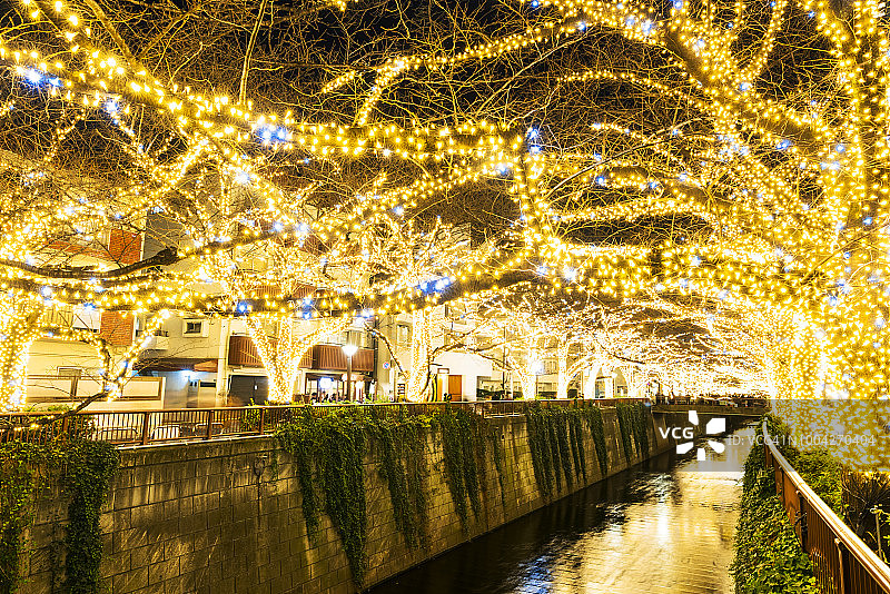 圣诞季东京目黑川两岸被数百万盏LED灯照亮的樱花树图片素材