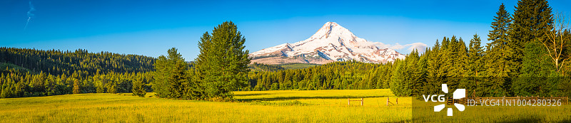 胡德山俄勒冈全景下的绿色草地和松树林图片素材