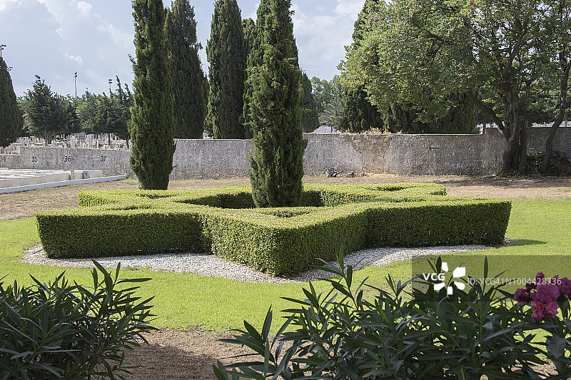 罗德镇犹太公墓中大卫之星形状的树篱图片素材