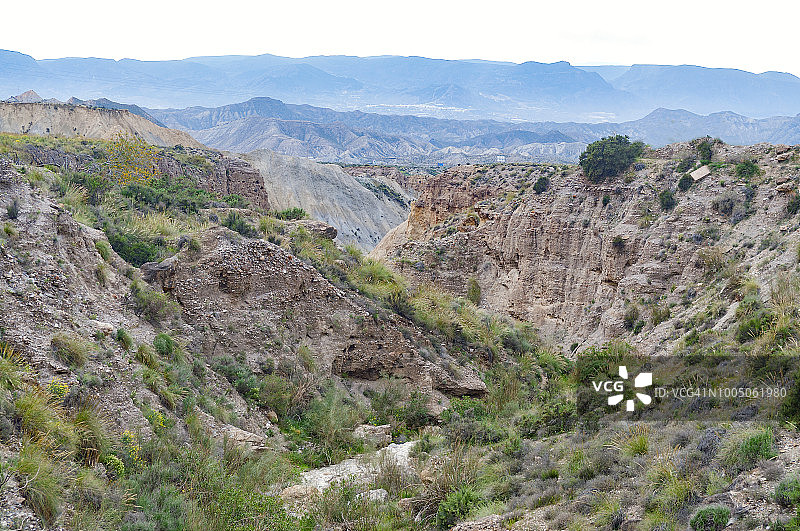黏土区域的峡谷与灌木丛图片素材